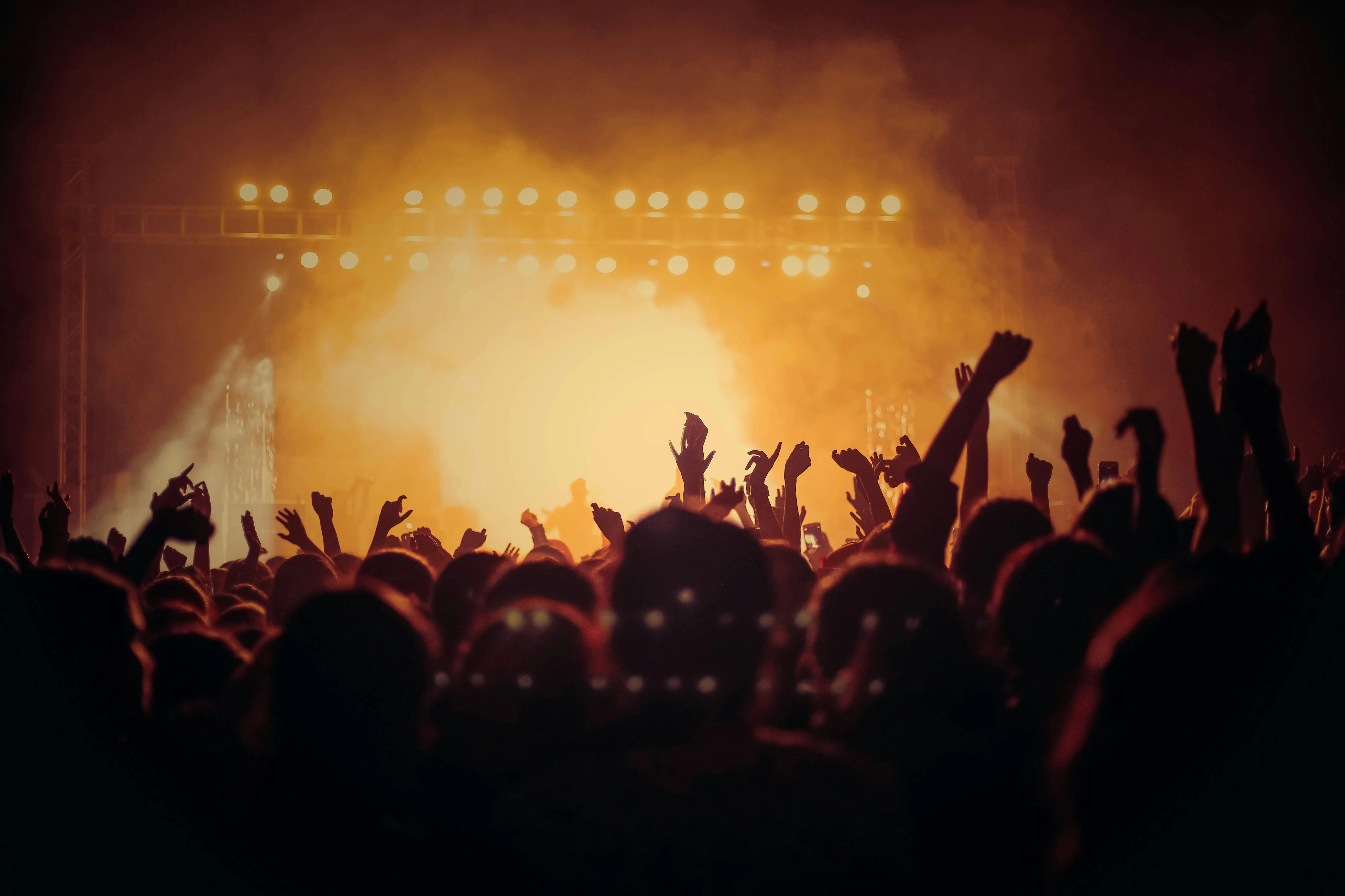 Concert lighting and audience in a music event